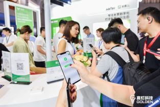 高灯科技亮相腾讯全球数字生态大会，专注打造智慧财税极致体验