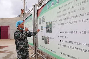 科技赋能，服务引领 技术推广在脱贫攻坚与农民增收中的核心作用