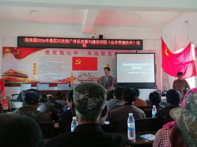 激发基层活力 陆良县2024年农技推广体系改革与建设项目培训在龙海乡拉开帷幕