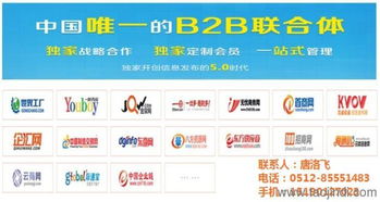 苏州网络推广费用解析 基于技术推广服务的成本构成与选择策略